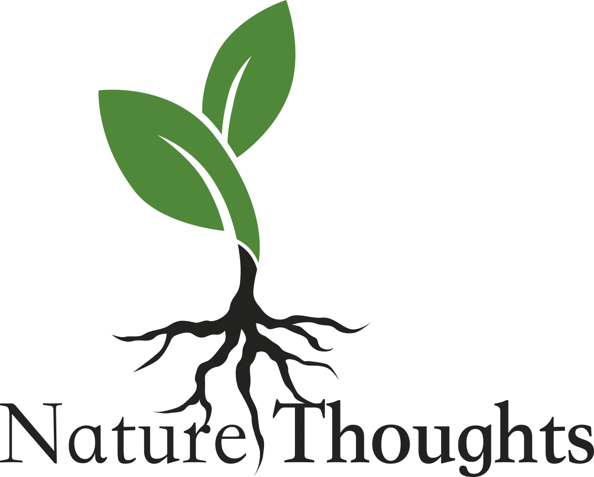 Nature Thoughts Cosmetics